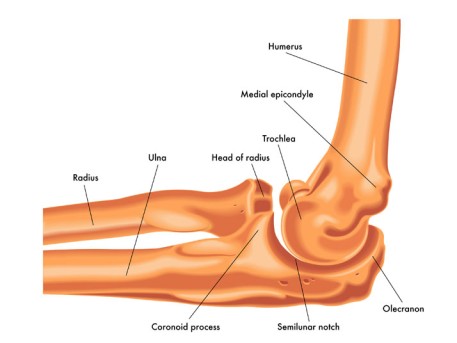 Elbow Arthrocentesis by OrangeCountySurgeons